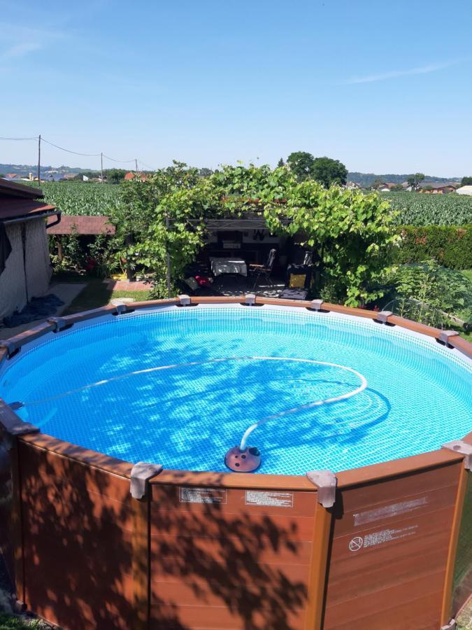 Apartments Isabella Ptuj Dış mekan fotoğraf